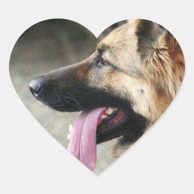 Pegatinas del Pastor Alemán (Anverso)