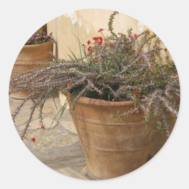 Pegatinas del patio (Anverso)