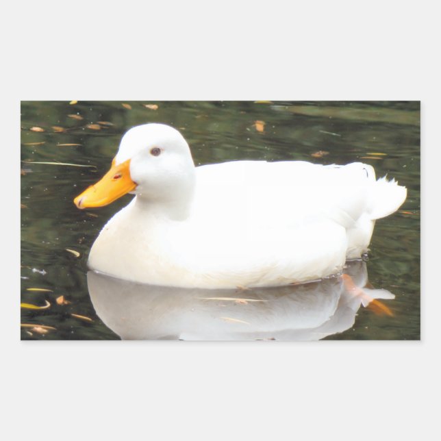 Pegatinas del Pato Blanco (Anverso)