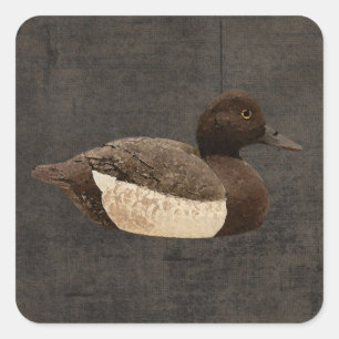 Pegatinas del pato del pato silvestre del vintage