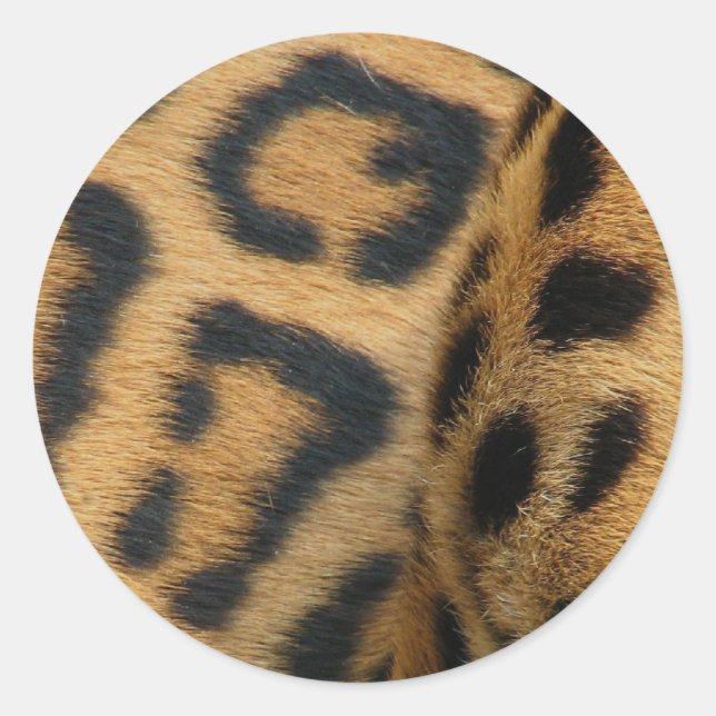Pegatinas del patrón Jaguar (Anverso)