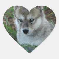 Pegatinas del perrito de lobo