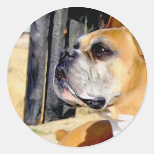 Pegatinas del perro Fawn Boxer (Anverso)