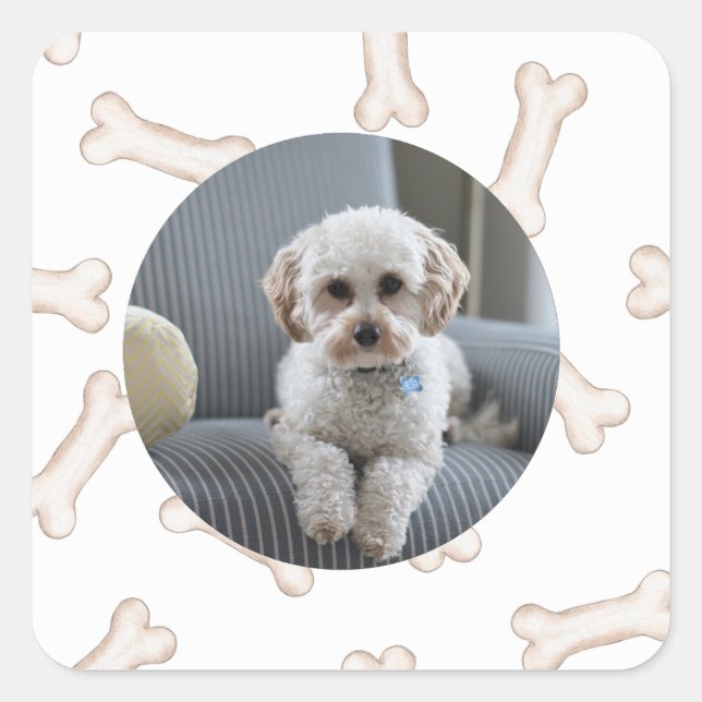Pegatinas del Personalizado fotográfico Dog Bone (Anverso)