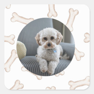 Pegatinas del Personalizado fotográfico Dog Bone