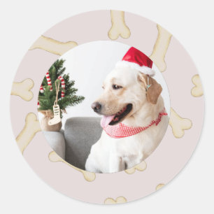 Pegatinas del Personalizado fotográfico Dog Bone