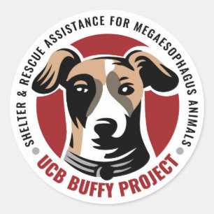 PEGATINAS del proyecto de búfer de UCB