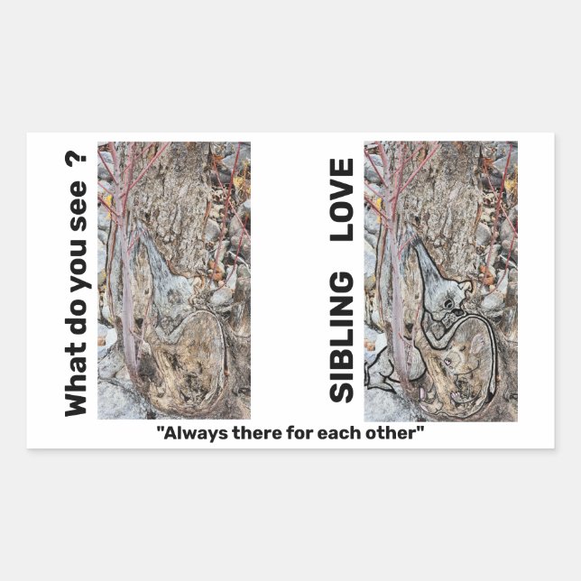 Pegatinas del Rectángulo de Amor Parecido (Anverso)