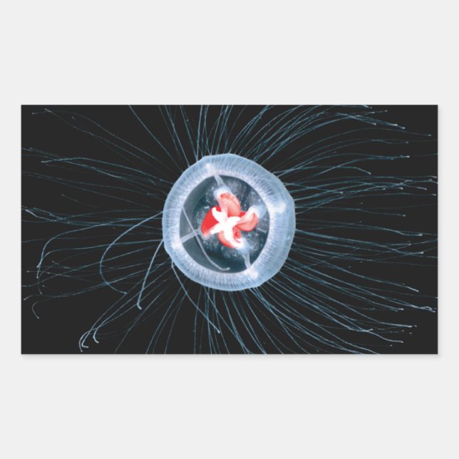 Pegatinas del Rectángulo de la Jellyfish Inmortal (Anverso)