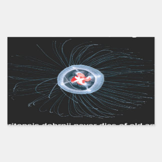 Pegatinas del Rectángulo de la Jellyfish Inmortal