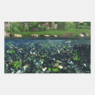 Pegatinas del río Cwm