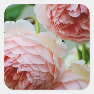 Pegatinas del Sello para sobres Pink Peony