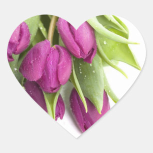 Pegatinas del SELLO PARA SOBRES PURPLE TULIP