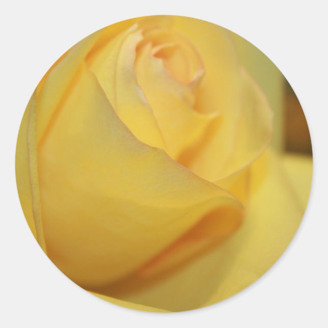 Pegatinas del Sello para sobres Rosa Amarillo (Anverso)