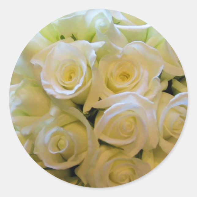 Pegatinas del Sello para sobres Rosa Blanca (Anverso)