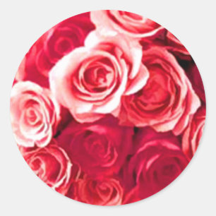 Pegatinas del Sello para sobres Rosa y Rosa Roja
