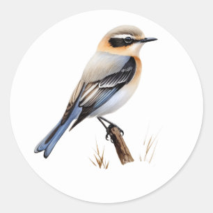 Pegatinas del Songbird del Wheatear Septentrional