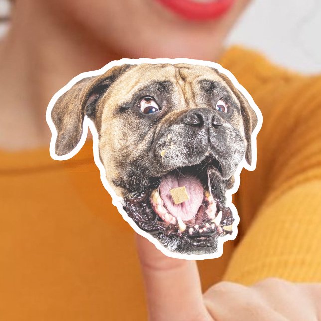 Pegatinas del viníleo personalizado (Subido por el creador)