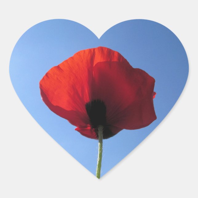 Pegatinas - Día conmemorativo del cielo azul de la (Anverso)