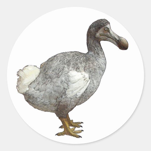 Pegatinas Dodo Bird (Anverso)