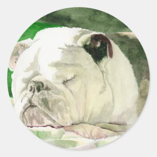 Pegatinas durmientes del bulldog