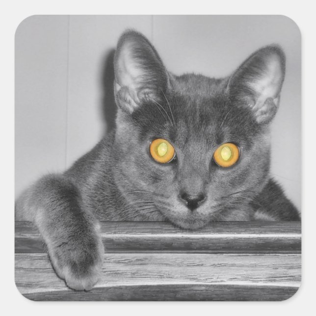 Pegatinas Dusky Gold (Anverso)