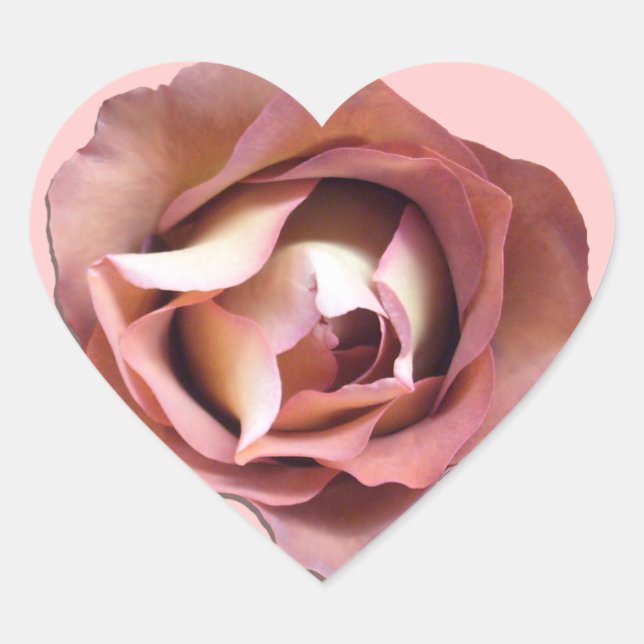 Pegatinas - Dusky Rosa (Anverso)