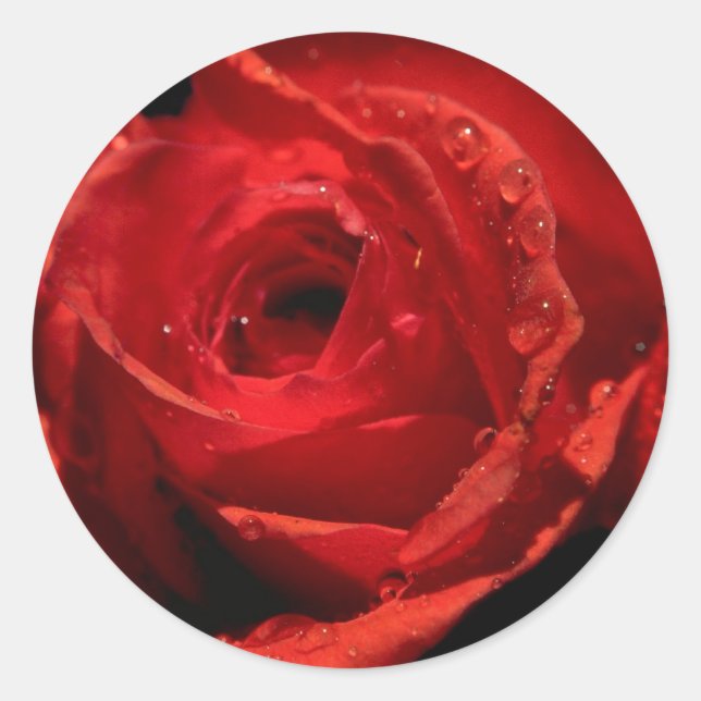 Pegatinas el día de San Valentín (Anverso)