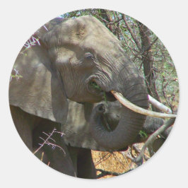 Pegatinas elefantes