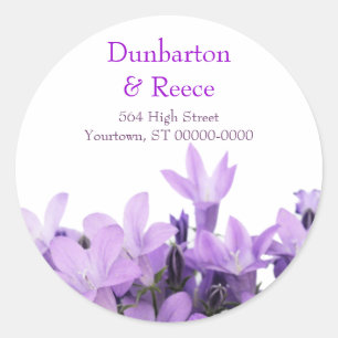 Pegatinas encantadores de Violets