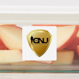 Pegatinas Escudo con logotipo Safe-IonU