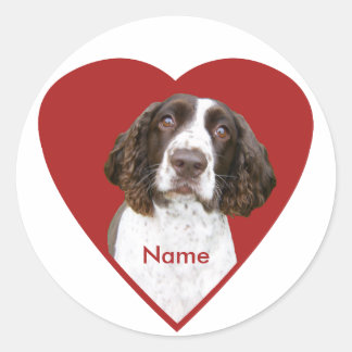 Pegatinas españoles de English Springer personaliz