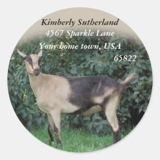 Pegatinas espumosos-personalizar