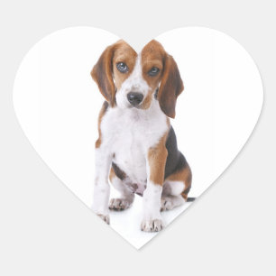 Pegatinas / Etiqueta de saludo de corazón de cacho