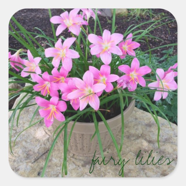 Pegatinas Fairy Lily (Anverso)
