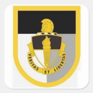 Pegatinas Flash del Centro de entrenamiento especi