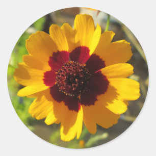 Pegatinas - Flor abierta