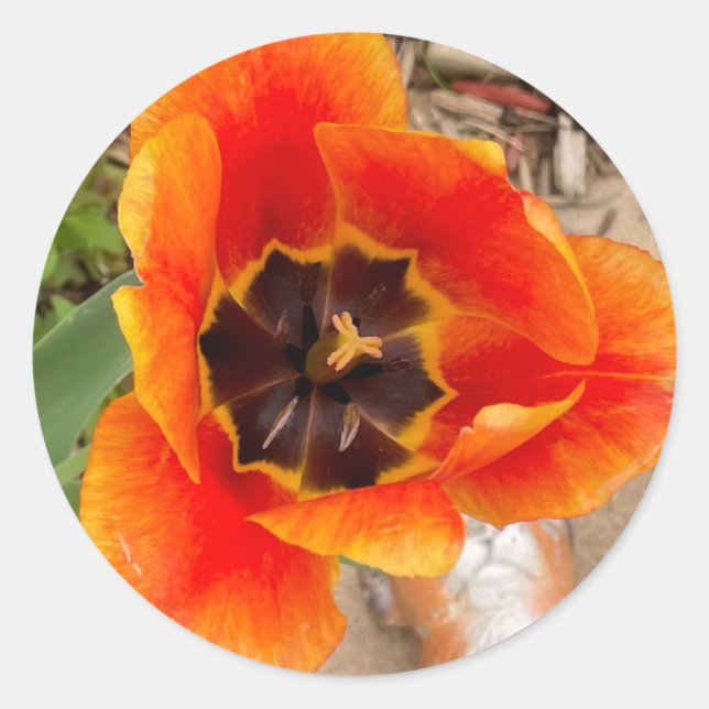 Pegatinas florales (Anverso)