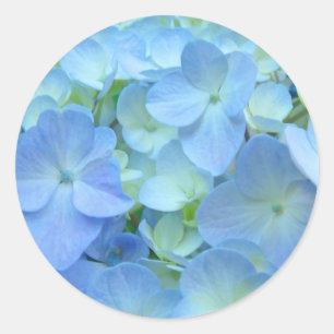 Pegatinas Florales Azules Sellos para sobres Hydra