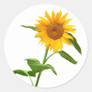 Pegatinas florales de girasol amarillo