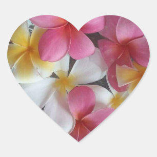 Pegatinas florales de Plumeria rosa con forma de c