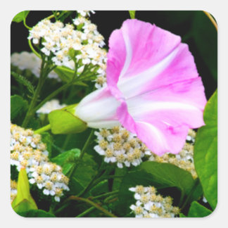 Pegatinas florales Fiesta Garden
