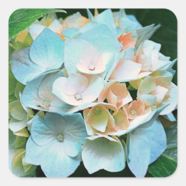 Pegatinas florales/sellos del Hydrangea coralino