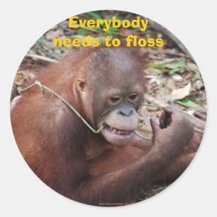 Pegatinas Flossing del cuidado dental de los