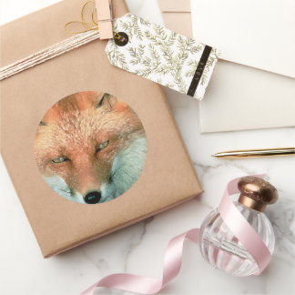 Pegatinas Fox estilizados