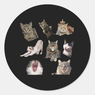 Pegatinas gatos