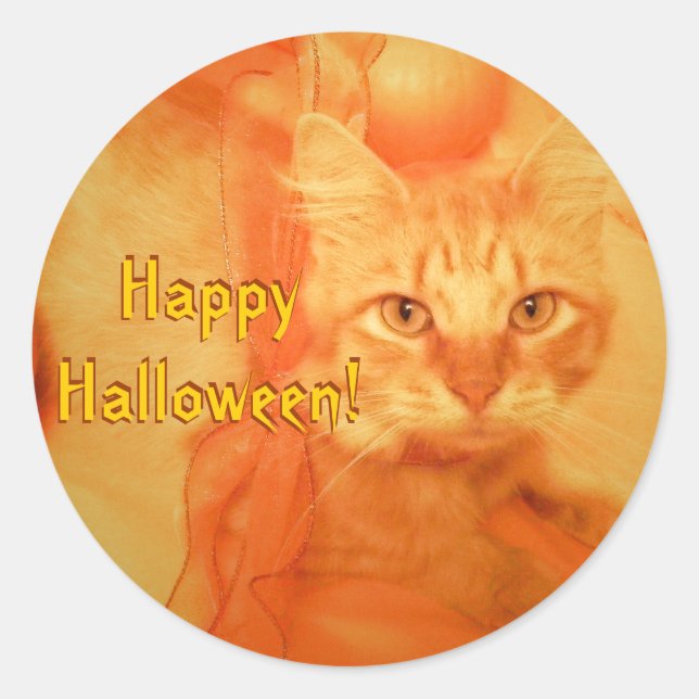 Pegatinas gatos de Halloween (Anverso)