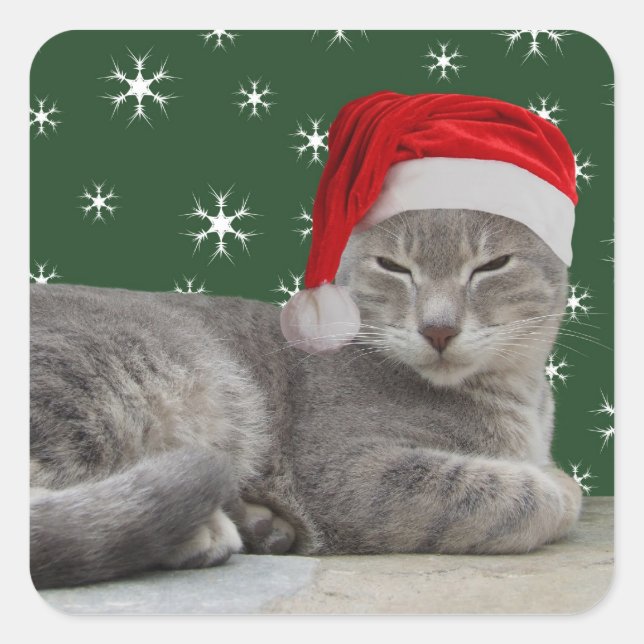 Pegatinas gatos de navidades (Anverso)