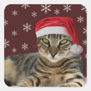 Pegatinas gatos de navidades