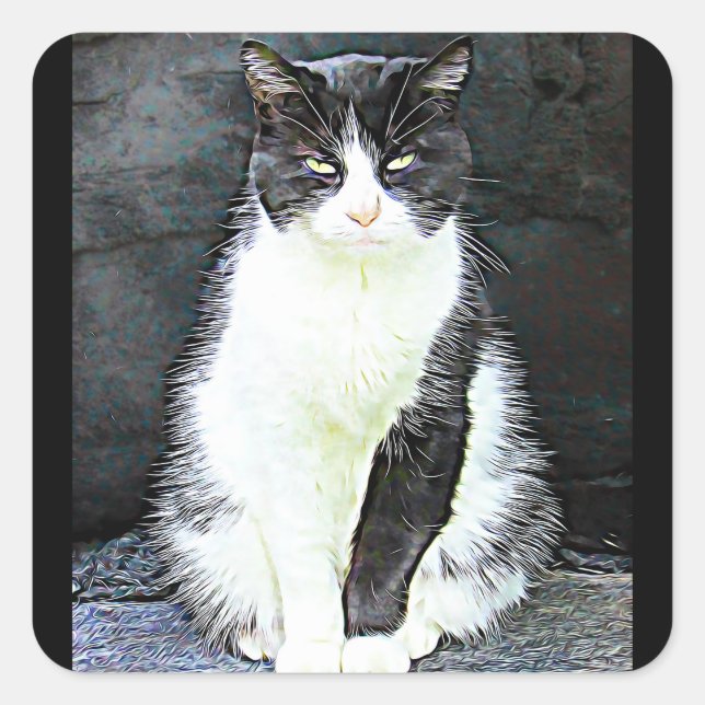 Pegatinas gatos negros y blancos (Anverso)